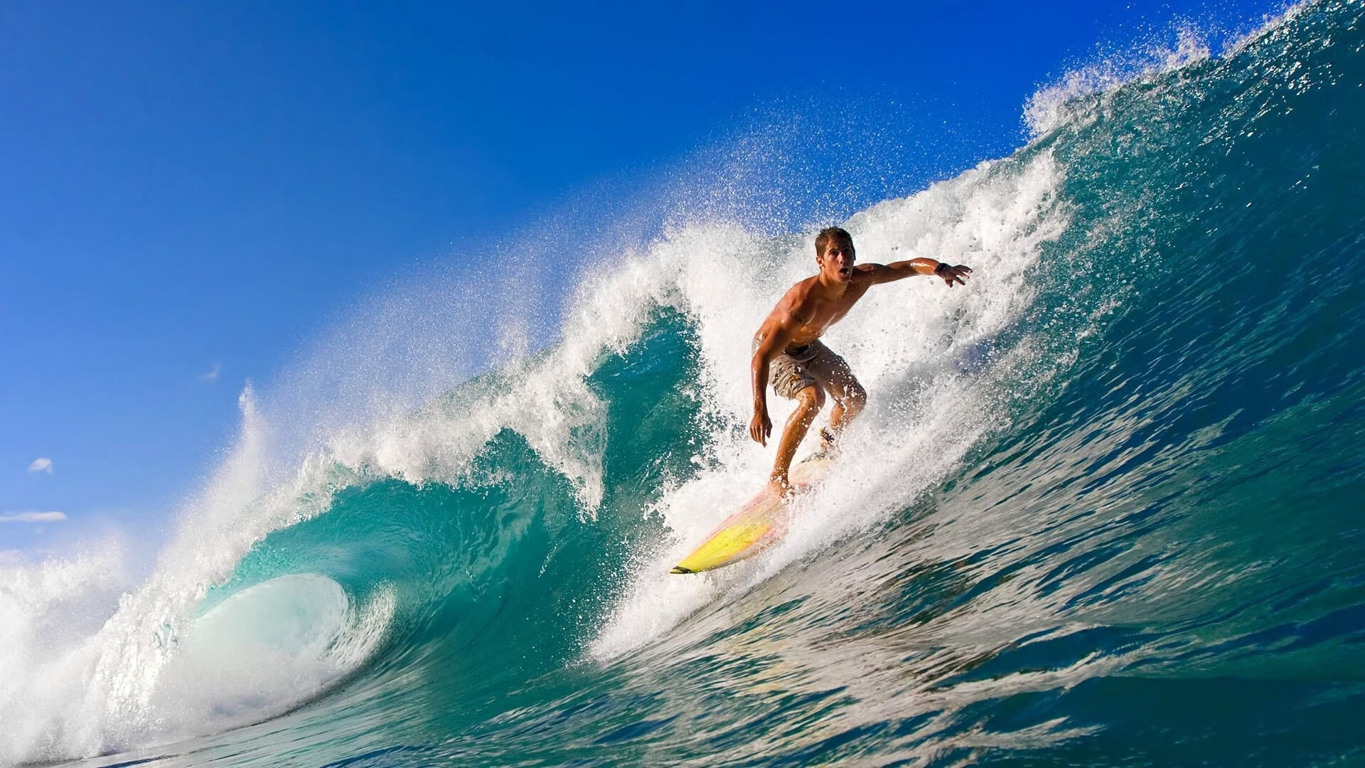 年度焦点之战之夜，霍勒迪冠军级表现铸就传奇