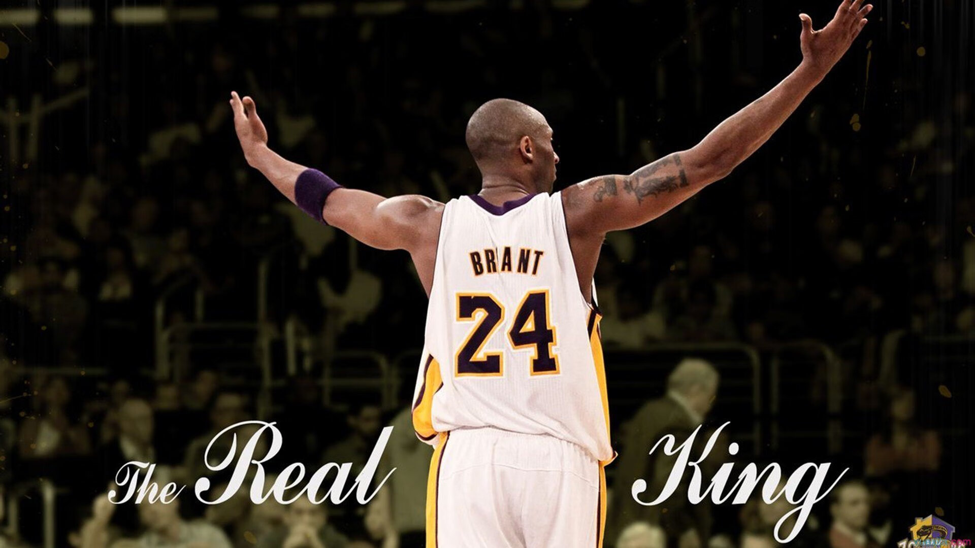 双杯之争，纳达尔点燃赛场，戴维斯杯险胜拉沃尔杯的传奇之夜